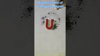 Magnetic field of U-Shaped Magnet
