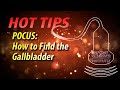 POCUS How To Find The Gallbladder