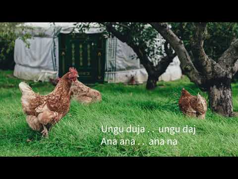 34. Wochenlied - Ungu duja, Ana - Seelenlied für die weibliche Kraft - zum Mitsingen (W26/2021)