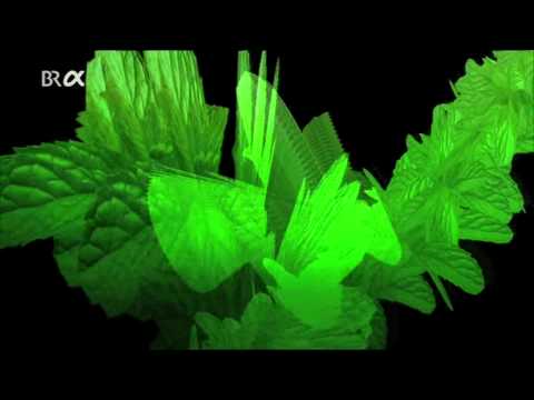 DONATO DOZZY & CIO D'OR - Menta-2009