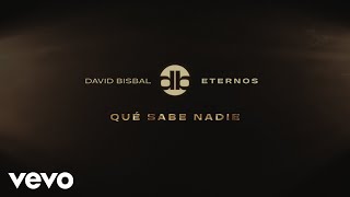 Qué Sabe Nadie Lyrics English Translation