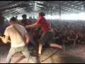 Norma Jean-  Memphis Will Be Laid To Waste (Hellfest 2003 dvdrip)