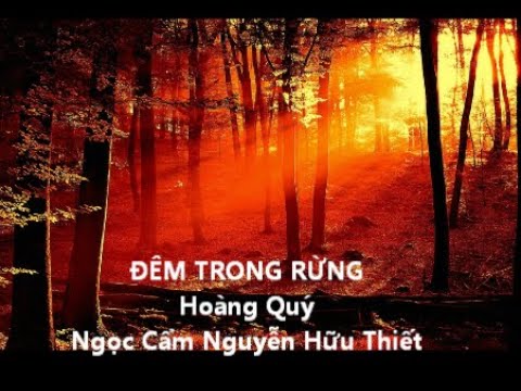 Đêm trong rừng Sheet - Ngọc Cẩm