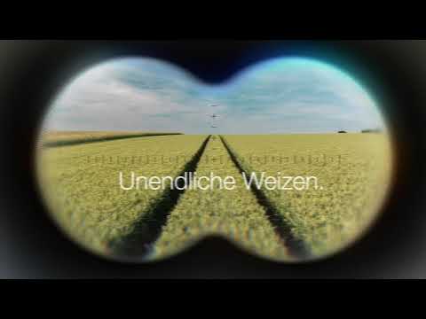 KWS KEITUM - Unendliche Weizen.