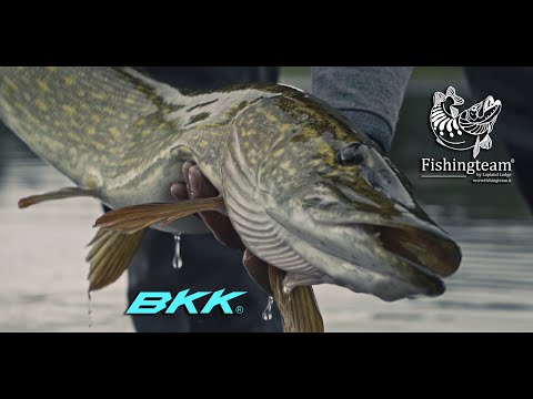 | Officilal video |  " In search ot the big pike of Swedish Lapland "  4k