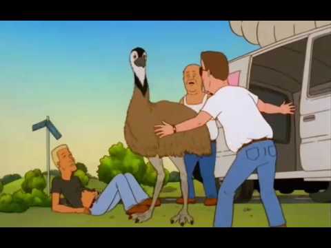 Cute And Huggable Emu