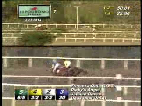 7MA CARRERA DOMINGO 23 DE FEBRERO DE 2014 HPR