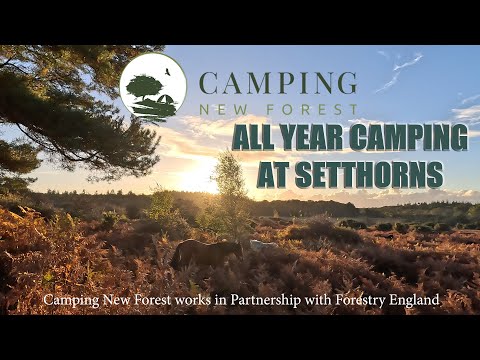 All-Year Camping in the New Forest