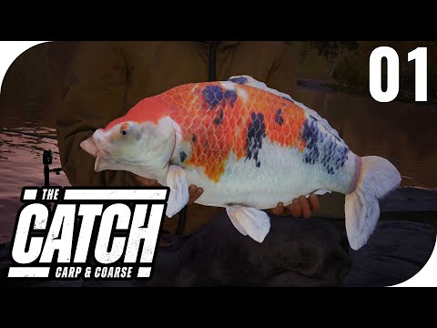THE CATCH: CARP AND COARSE #1 - FIRST LOOK AT THE NEW FISHING GAME! || PantoffelPlays