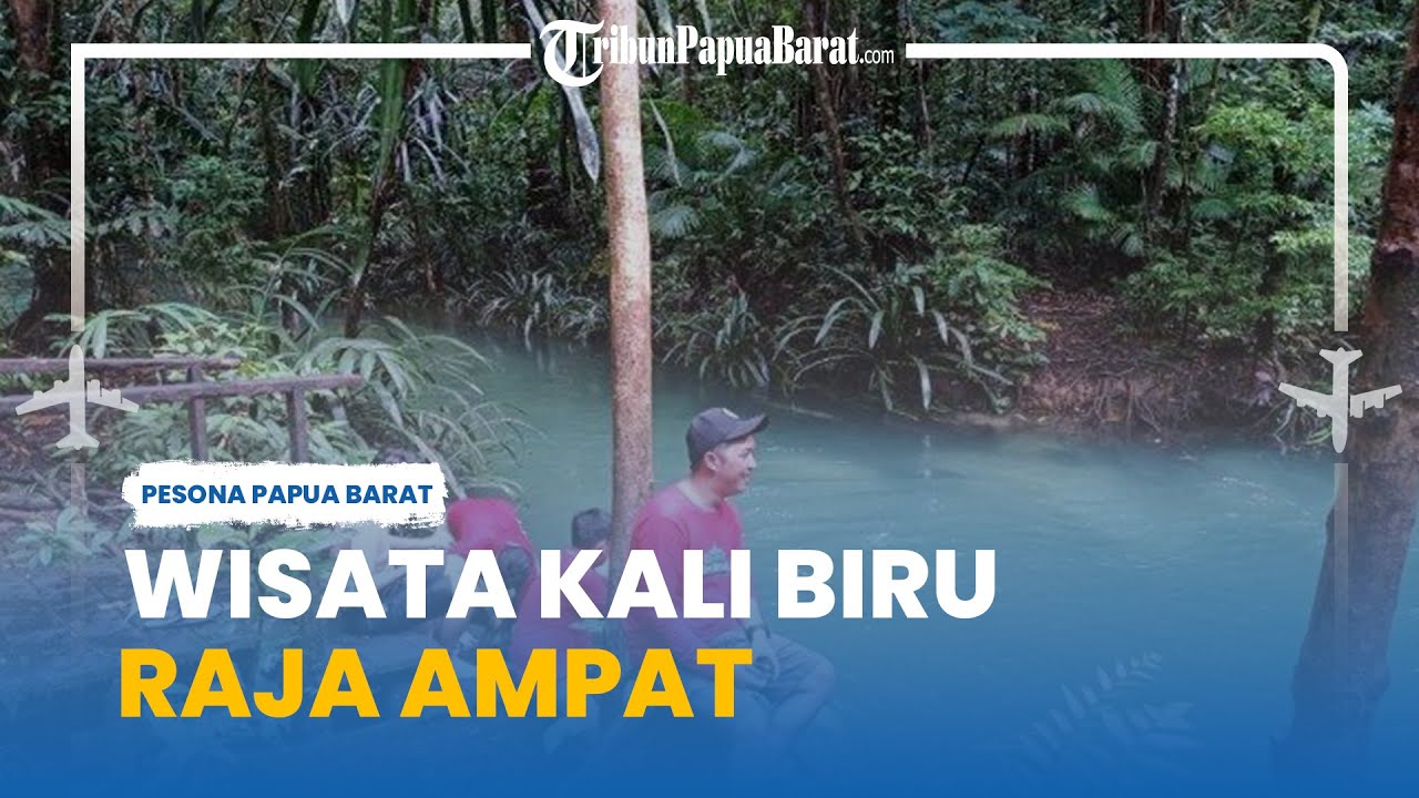 Kali Raja Kali Biru Raja Ampat Penuh Pesona, Dilengkapi Air Terjun, Reptil hingga ...