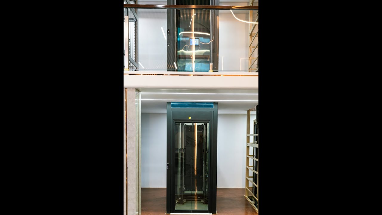 Traction backpack home elevator