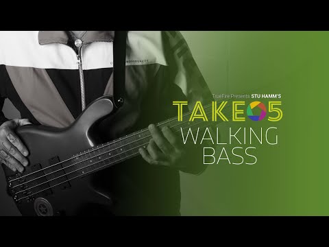 🎸 Stu Hamm's Take 5: Walking Bass - Intro - Guitar Lessons