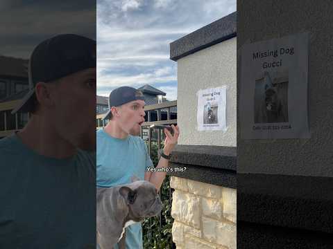 Я нашла Gucci у королевской семьи!