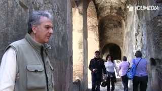 preview picture of video 'Pompei cade a pezzi a rischio la tutela Unesco'