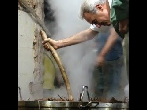 FEITIO DO SANTO DAIME - CÉU DA LUA CHEIA