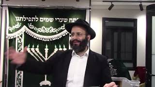 דיני צער בעלי חיים (הרב אלחנן משה נחמנסון) - התמונה מוצגת ישירות מתוך אתר האינטרנט יוטיוב. זכויות היוצרים בתמונה שייכות ליוצרה. קישור קרדיט למקור התוכן נמצא בתוך דף הסרטון