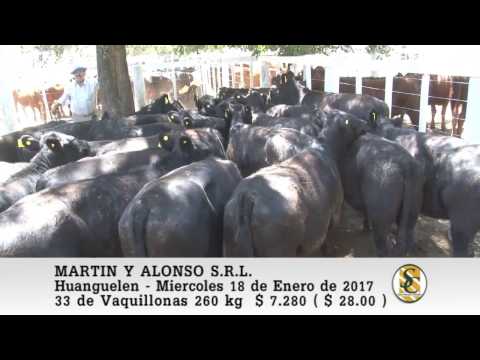 18-01-17 Venta de Hembras - Martin y Alonso S.R.L. - Huanguelen.