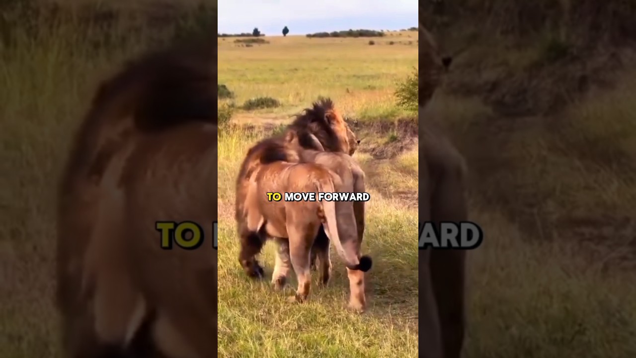 Remember This!!! #motivation #shorts #trending