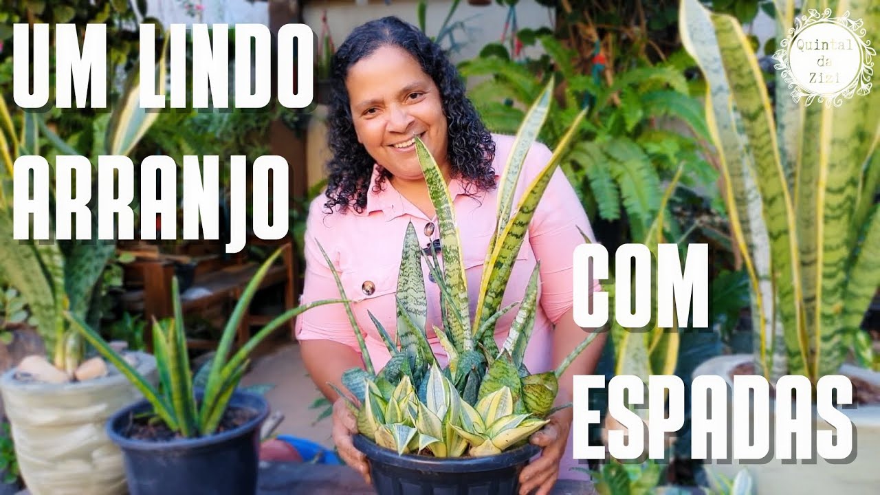 ESPADA-DE-SÃO-JORGE: Como montar um lindo arranjo | Dicas de cultivo