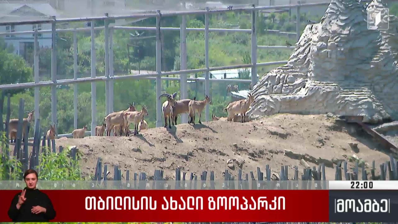 თბილისის ახალი ზოოპარკი