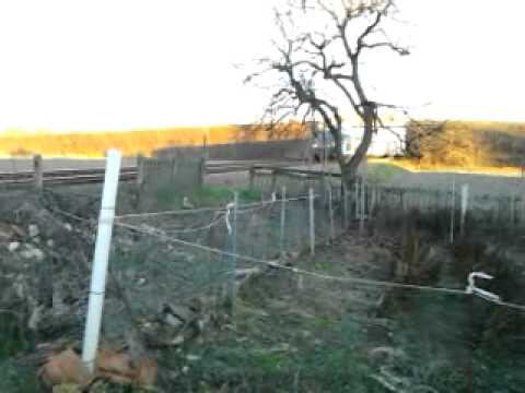 Regio Train from Treviglio to Novara station..