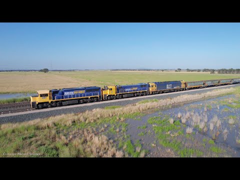 Pacific National Grain Train 7737V With XR557 X50 BL27 (2/12/2022) - PoathTV Railways In Australia