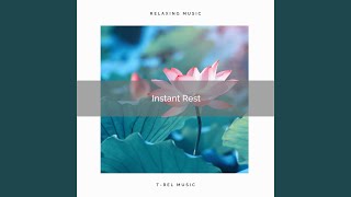 Meditation Soft Tunes and Soothing Bird Songs pt. 1