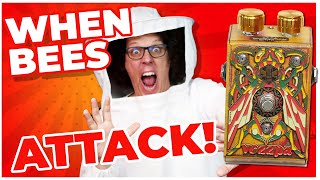 Video thumbnail for Beetronics Vezzpa Octave Stinger Fuzz - Beware the BEES! by TheGuitarGeek