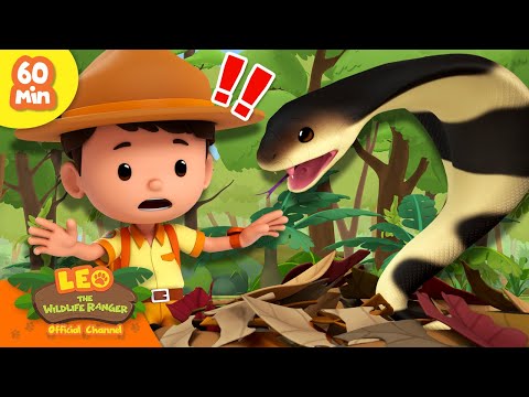 BEWARE OF THE KING COBRA'S VENOM! | Poisonous Animals | Leo the Wildlife Ranger | Kids Cartoons