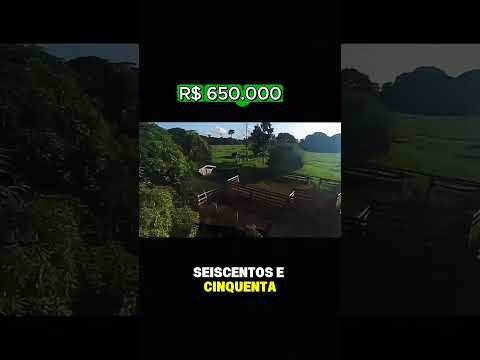 Procurando uma terra pronta para produzir com excelente localização?