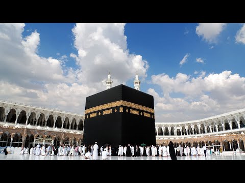 Putovanje života - Hadž 2025. | REPORTAŽA