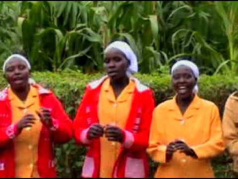 Kiboiboi raini  - kulonok Hepsi-Ba