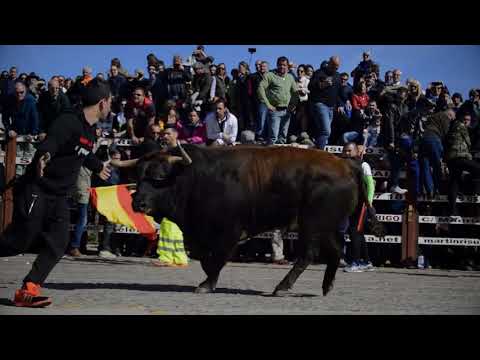 La actuación de Zaragata Folk, especial evento de las fiestas en honor a la Virgen del Rosario  