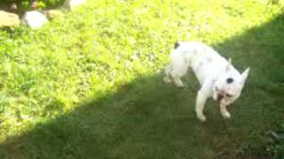 pas si vieille la vieille