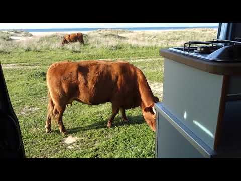 Ein Wintermorgen im Camper, im Februar am Strand von Tarifa.