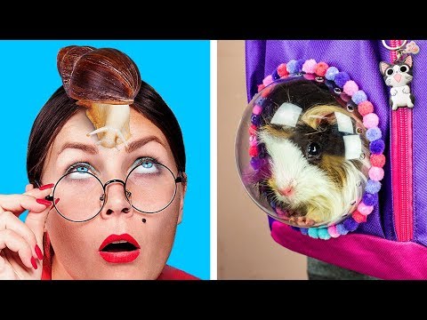 Как пронести животных в школу / 8 пранков и лайфхаков для животных