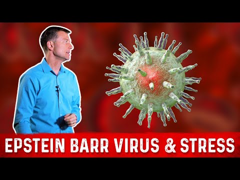 What is Epstein Barr Virus (EBV)? - Symptoms & Treatment – Dr. Berg