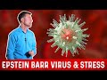 What Is Epstein Barr Virus EBV Symptoms Treatment Dr Berg