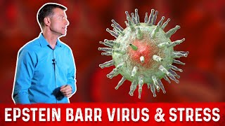 Epstein Barr Virus (EBV) &amp; Its Main Trigger: STRESS