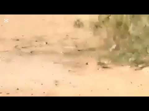 Terror con amigos 4 (la almamula en Suncho Corral santiago del Estero) 