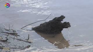 ΑΠΟΚΛΙΜΑΚΩΣΗ ΣΤΗ ΛΑΡΙΣΑ ΜΕΤΑ ΤΗΝ ΚΑΚΟΚΑΙΡΙΑ BYRON - ΥΠΟΧΩΡΕΙ Η ΣΤΑΘΜΗ ΤΟΥ ΠΗΝΕΙΟΥ 08 12 2025