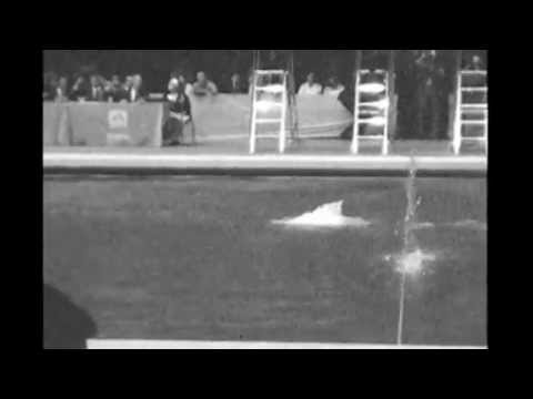 Klaus Dibiasi  oro tuffi dalla piattaforma Messico 1968