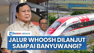 Tegas! Presiden Prabowo Minta Jalur Whoosh Dilanjut hingga Banyuwangi Jawa Timur