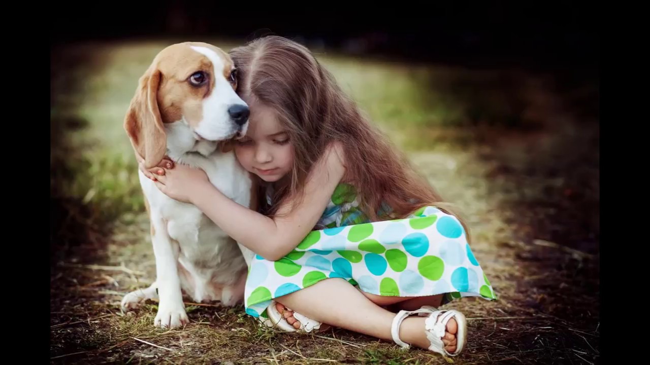 10 Reasons Why You Should Adopt a Pet