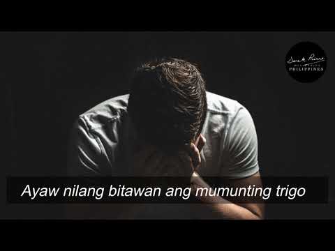 Kung paano gawin na pagkatapos ng pagbaba ng timbang ay hindi sagged tiyan Cocktail slimming fitness