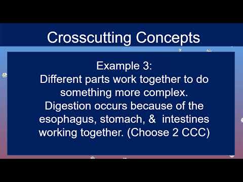 (Part 2) NGSS Crosscutting Concepts Follow-Along