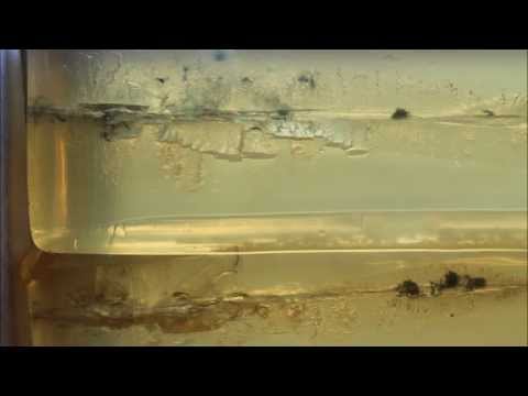 10mm gel test: Atomic 180 gr Hex plated