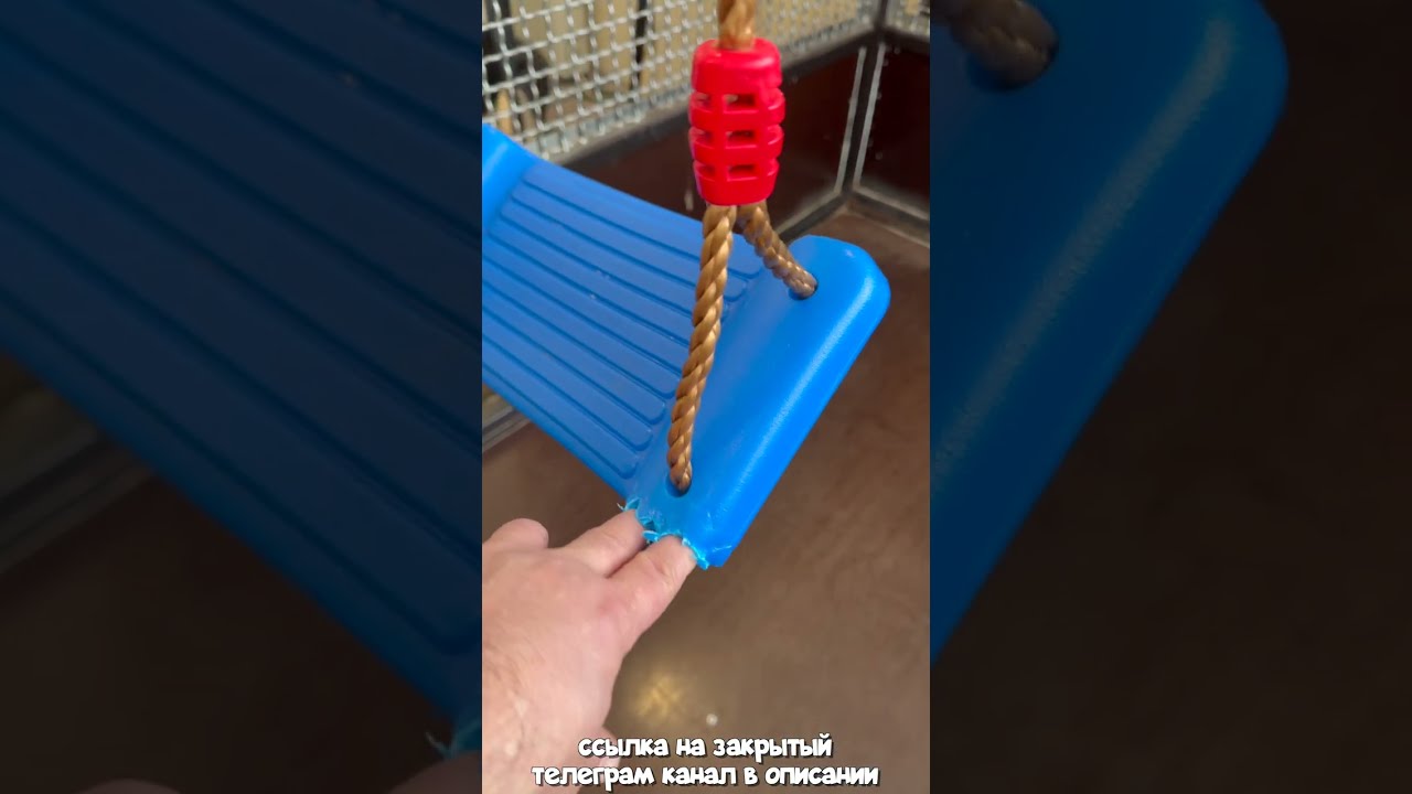 Что Происходит, Когда Шимпанзе Получает Новые Игрушки?