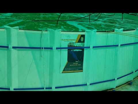 Biofloc Fish Farming Tank