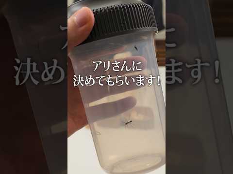 アリに右左どっちさせたら神ドリンク出来たｗｗｗ